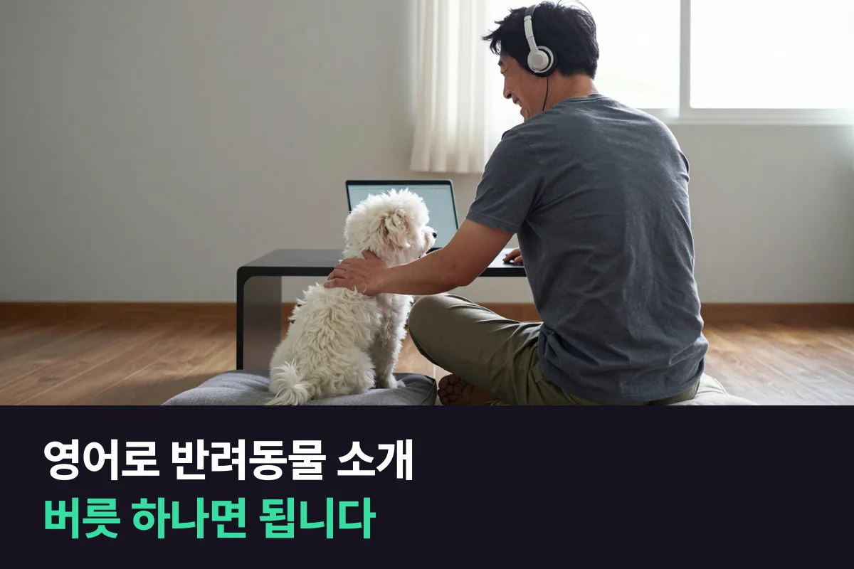 내 반려동물을 영어로 소개할 때 어떤 순서로 말하면 됩니까?