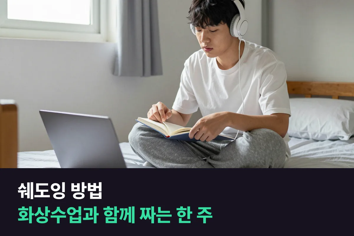 쉐도잉 방법, 1:1 화상수업과 요일별로 나눠 하는 주간표